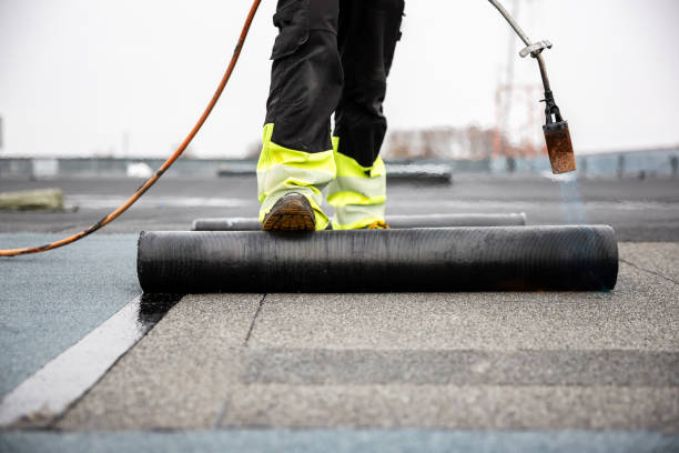 Best Skylight Installation and Repair  in Bangor, MI